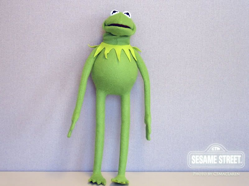 kermit the frog sock puppet